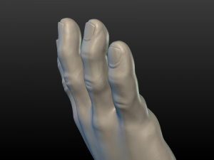 hand Model do druku 3D