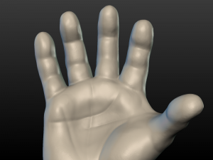 hand Model do druku 3D