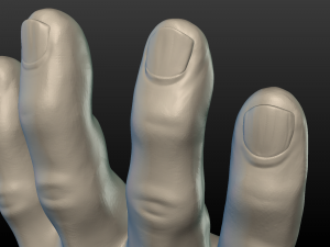 hand Model do druku 3D