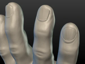hand 3D Print Model