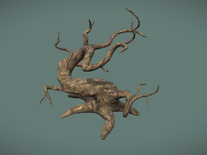 tree Modèle 3D