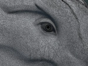 cabe&ccedil;a de drag&atilde;o dem&ocirc;nio Modelo de Impressão 3D