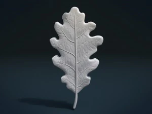 oak leaf 3D Print Model