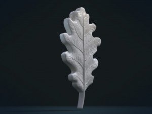 oak leaf 3D Принт Модель
