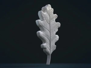 oak leaf 3D Print Model