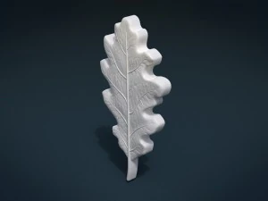 oak leaf 3D Print Model