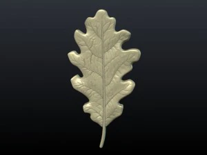 oak leaf 3D Print Model