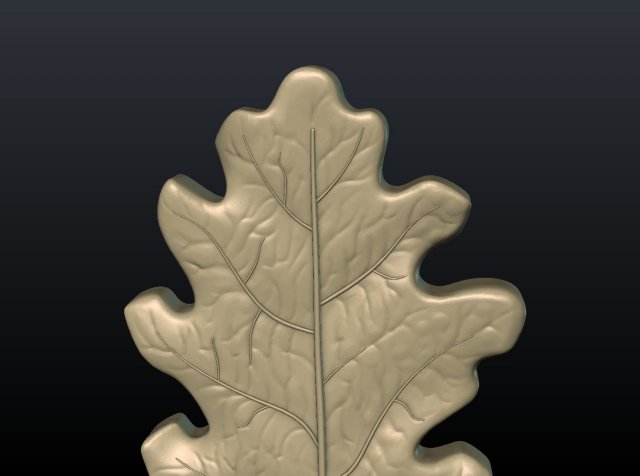 Download oak leaf 3D Model