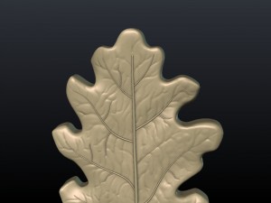oak leaf 3D Принт Модель
