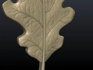 oak leaf 3D Print Model