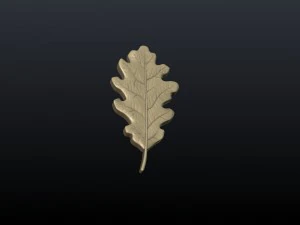 oak leaf 3D Print Model
