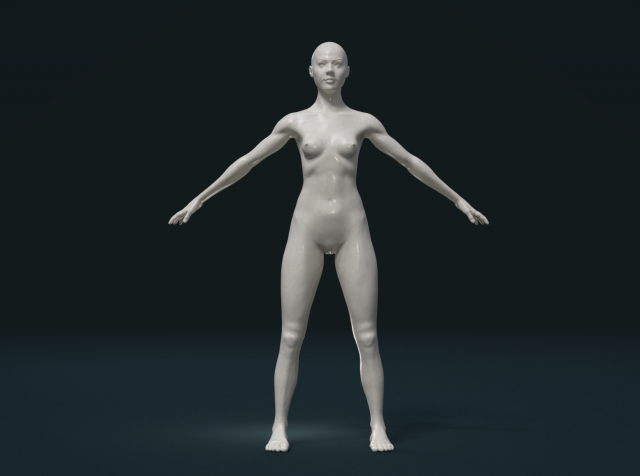 beautiful naked woman -rigged 3D Model in Woman 3DExport