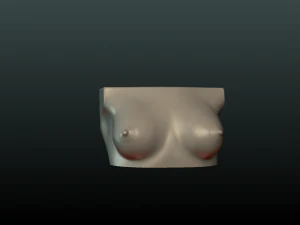 womans breast 3D Print Model
