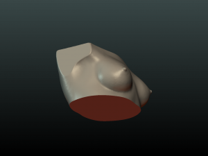womans breast 3D प्रिंट मॉडल