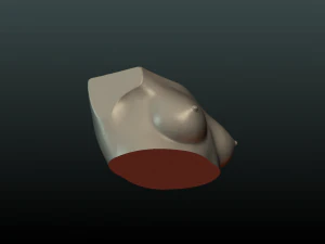 womans breast 3D Print Model