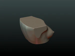 womans breast 3D Print Model