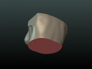 womans breast 3D Print Model