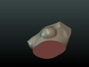 womans breast 3D Print Model