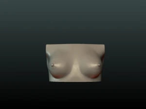 womans breast 3D Print Model