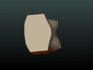 womans breast 3D Print Model