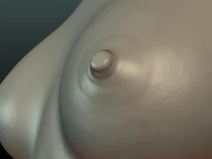 womans breast 3D Print Model