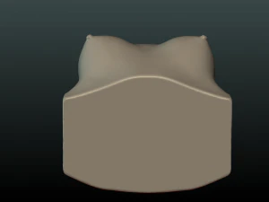 womans breast 3D Print Model