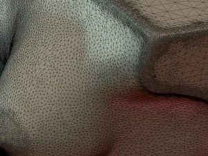 womans breast 3D Print Model