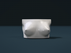 womans breast 3D प्रिंट मॉडल