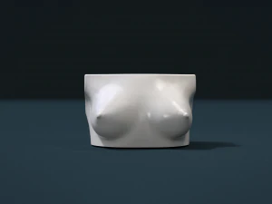 womans breast 3D Print Model