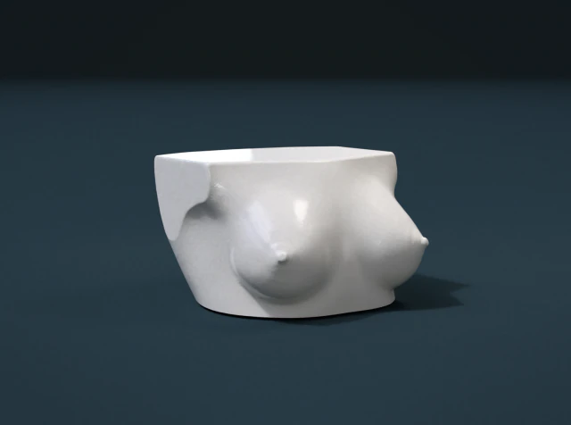 womans breast 3D Print Model .c4d .max .obj .3ds .fbx .stl .blend 