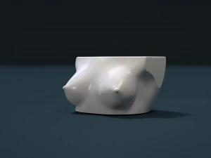 womans breast 3D Print Model