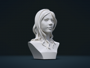 woman head and hairstyle 3D Print Model