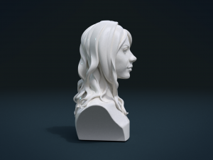 woman head and hairstyle 3D प्रिंट मॉडल