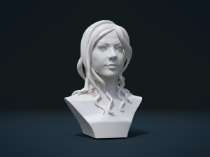 woman head and hairstyle 3D प्रिंट मॉडल