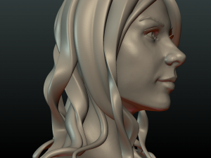 woman head and hairstyle 3D प्रिंट मॉडल