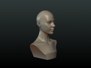 woman head and hairstyle 3D प्रिंट मॉडल