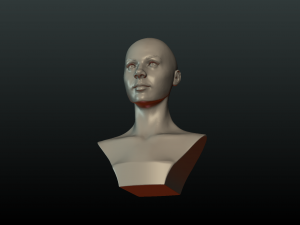 woman head and hairstyle 3D प्रिंट मॉडल