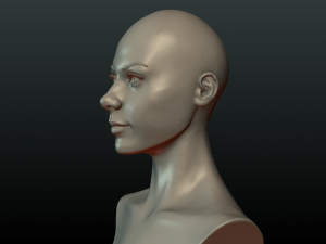 woman head and hairstyle 3D प्रिंट मॉडल