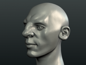 gnome head 3D 프린트 모델