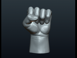 fist hand Modelo de Impressão 3D