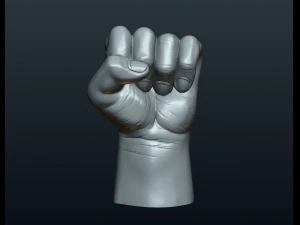 fist hand 3D Print Model