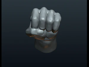 fist hand 3D Print Model
