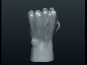fist hand Modelo de Impressão 3D