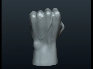 fist hand 3D Print Model