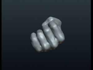 fist hand Modelo de Impressão 3D