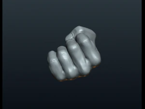 fist hand 3D Print Model