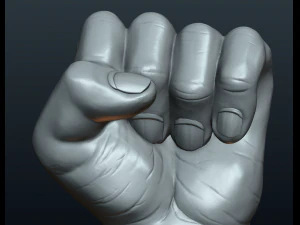 fist hand 3D Print Model