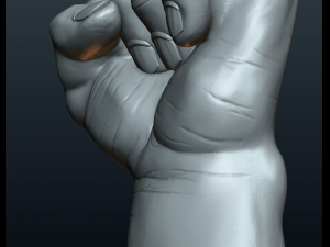 fist hand Modelo de Impressão 3D