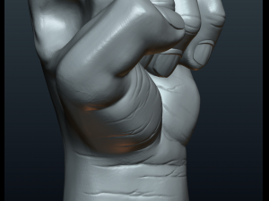 fist hand Modelo de Impressão 3D
