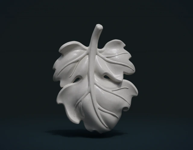 fig leaf 3D Print Model .c4d .max .obj .3ds .fbx .stl .blend 